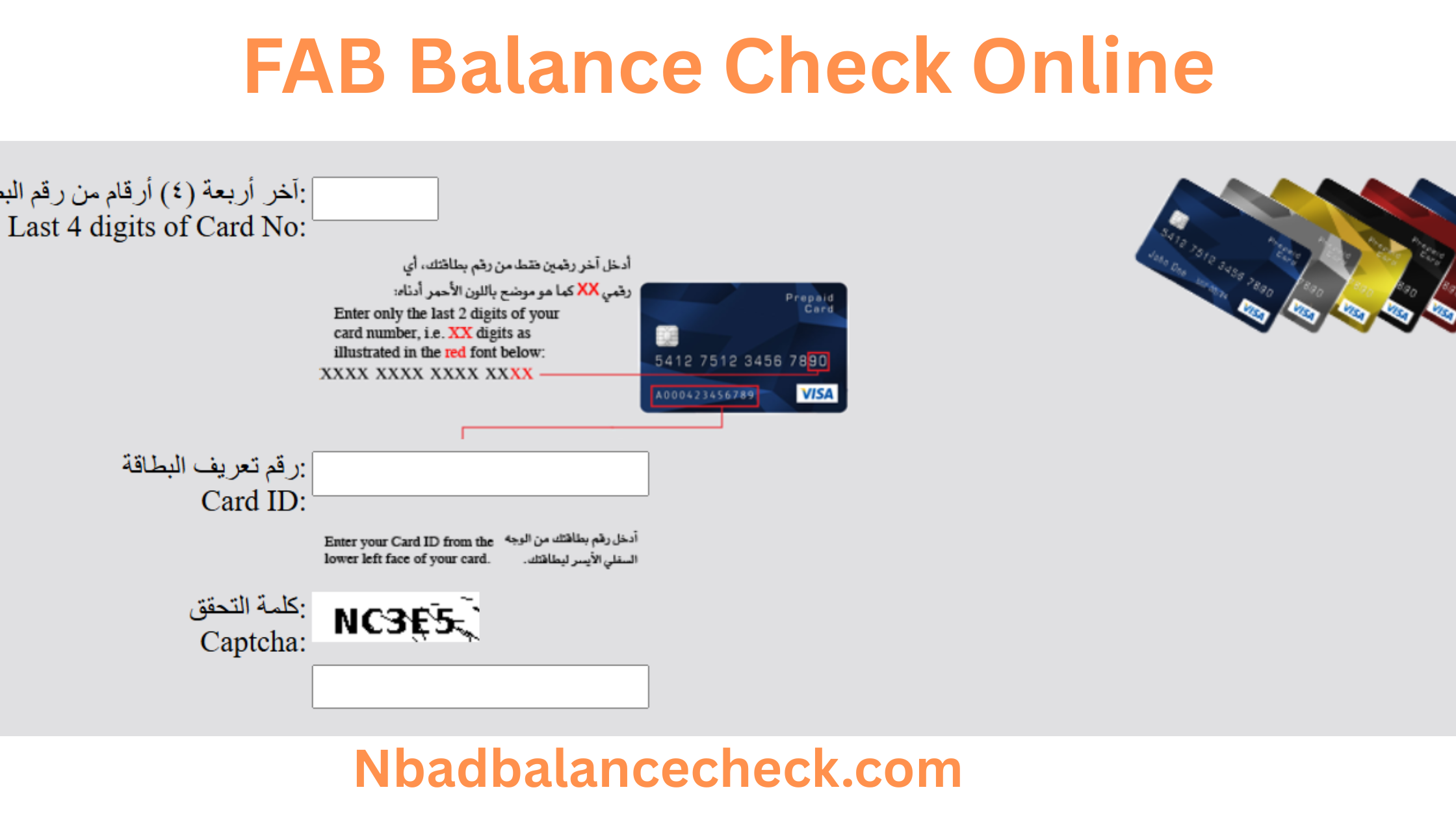 FAB Balance Check